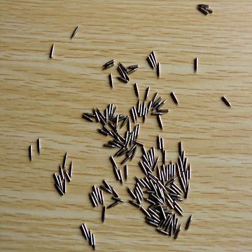 离子针| 放电针| 钢针| 离子放射针。